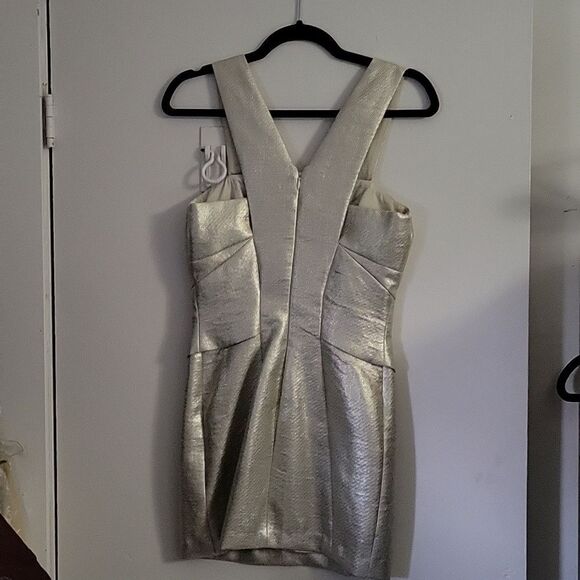 * * ROBERT RODRIGUEZ Silver Party Dress - Picture 8 of 9